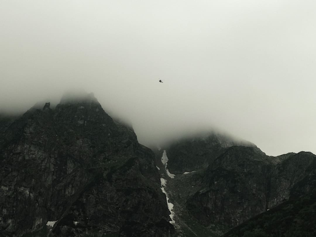 网红李子柒介绍